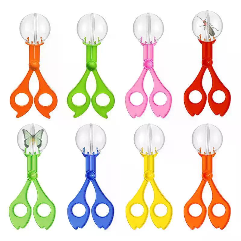 Set Gunting Penangkap Serangga - Outdoor Camping Kids Activities ulasan dan harga